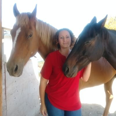 I am a mother of two awesome children.  I am a writer, animal lover and artist. I have now published six books. Author of the Urban Fantasy series: Pyralis