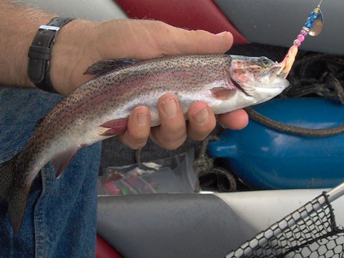 WDSTK3's profile picture. Retired trucker and wannabe lure maker taking up fishing, camping and blogging about same.