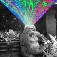 MuLabs DAO (@mulabsdao) Twitter profile photo