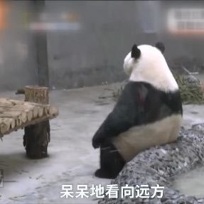 Linako111's profile picture. 自在