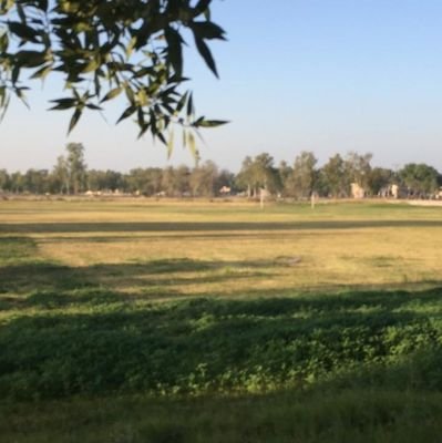 sm_charizard's profile picture. Victoria Concordia Crescit