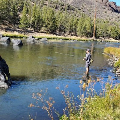 ReformdREFliper's profile picture. All opinions here are my own, real estate or otherwise. I’ve been a part of 1,000’s of residential property flips in over 30 states, I still have a lot to learn