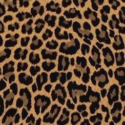 k0Kimk's profile picture. 群馬 海コン トラック 車 スニーカー