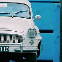 هدهد (@hdhd733455) Twitter profile photo