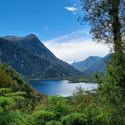 Franber37853521's profile picture. 