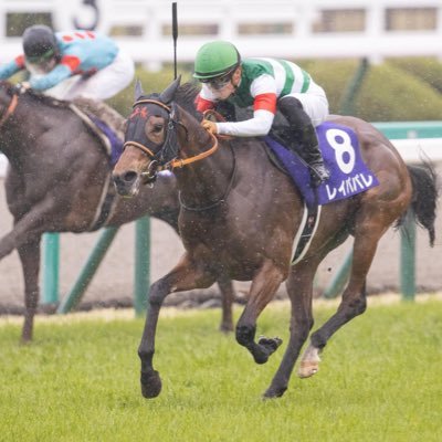 競馬垢。 レイパパレが好き。悔しいけどコントレイルも好き。一目惚れしたのはブラックノワール