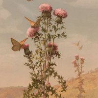 Thistle Journal (@thistle_journal) 's Twitter Profile