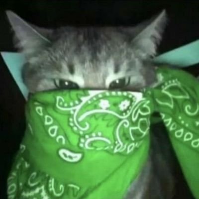 ☆ntru彡さんのプロフィール画像