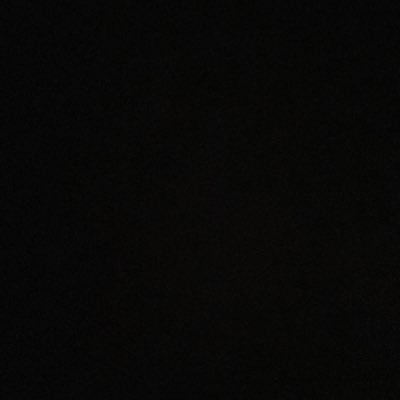 ggiraffidaae's profile picture. 