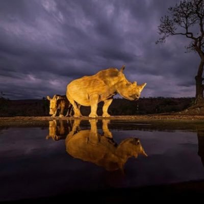 Crypto Enthusiast, Digital Transformation Advisor