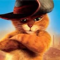 chat_potele's profile picture. 