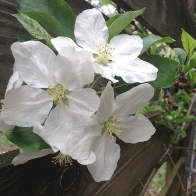 Obit Options is a professional, compassionate obituary writing service, designed to help you create a unique tribute for your loved one.