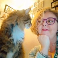 Lynne Anderson-Scott (@drandersonscott) 's Twitter Profile Photo