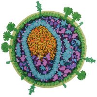 Conference of Opportunistic Infections (@croi_official) 's Twitter Profile