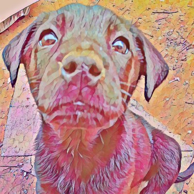 Puppy pix is real life unique photo art, from personally taken photos. Limited collection of Mosaic's, Pastel's, water color's, oil painting. On https://t.co/VGBgRxFRvH now.