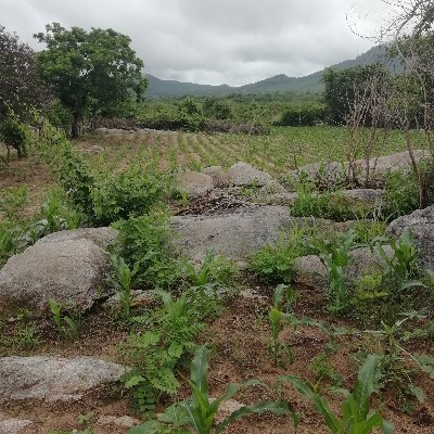 gerr_mak's profile picture. Coasting through life freeloading on God's Grace, undeserved; yes...but grateful all the same.