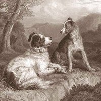 Dr Johnstone F Macpherson-Stewart (@langdigression) Twitter profile photo