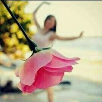 زهــرة الـجـنـوب 𝑆𝑂𝑈𝑇𝐻 𝐴𝑅𝐴𝐵𝐼𝐴 ☔ (@z_arat_) 's Twitter Profile