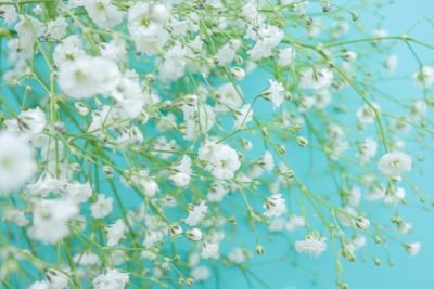 娘(ASD自閉症 中度知的⇒重度知的障害へ)
1732g仮死産
幼少期は部屋を往復運動と頭、壁ゴンゴン癇癪、聴覚過敏。
いつもと違う道や方法に全て大激怒
現在多趣味 スポーツ観戦、映画鑑賞、家庭用ゲーム、読書(マンガ)
B型の会社で働き中 服薬無し
大人になってからが精神的な悩みが出てくる