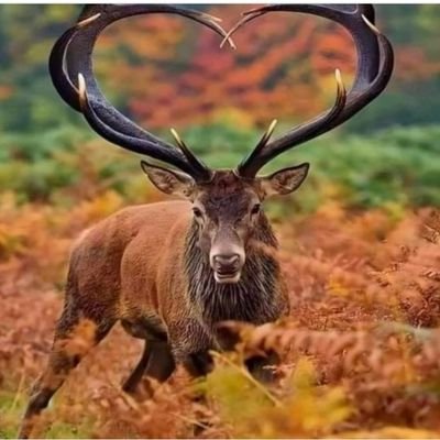 DaboIbr80790722's profile picture. jeunesse conscient 🖐🧠