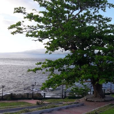 Sieki69's profile picture. 