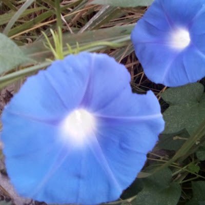 MaryLoz89634866's profile picture. 