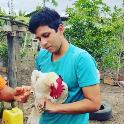 GustavoIzquier2's profile picture. Yooooooo
Supuestamente me gradué de psicólogo generalista