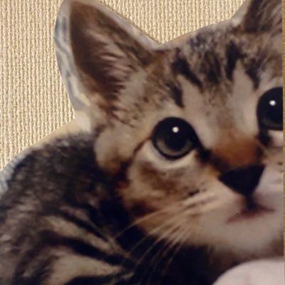 game好きです☺︎暇な時にゲームする。時々つぶやく。適当も時には大事。🐈ネコも好き。海外ドラマも好き。💉#GreysAnatomy🏥🎮play game🎮※PUBG※ APEX※ R6S※ MHIB※🕹