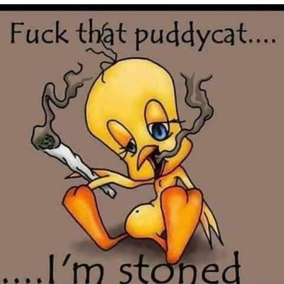 RyanLit77134732's profile picture. do anything