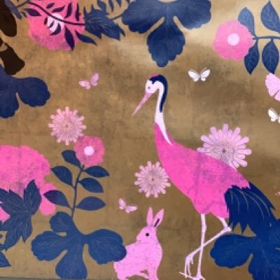 sugerstar5's profile picture. 