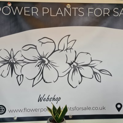 Flower Power - plants for sale