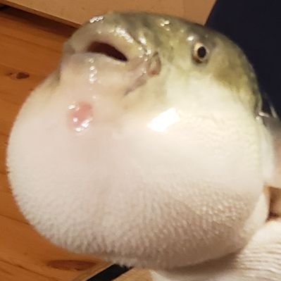 安倍 良 (sainokuni_abe) Twitter