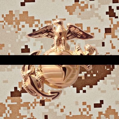 alex_bedell's profile picture. USMC Vet!🇺🇸 Miami Dolphins fan for life! OpTic Gaming fan! Live to your fullest potential🙏🏻
