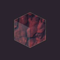 Alchemetryc (@alchemetryc) 's Twitter Profile