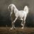 mnr33369's profile image