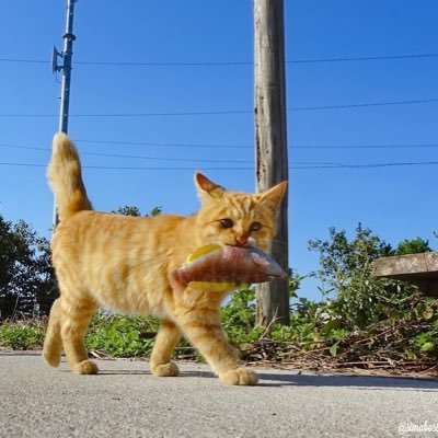 allmyhe81198444's profile picture. 진심을 다해