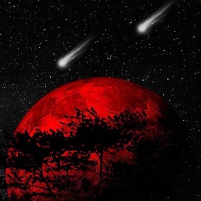 treyskiii20's profile picture. 