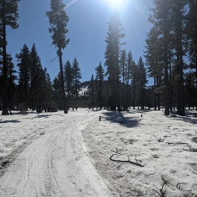 spudboy1234's profile picture. General clownery. Bay Area. Food. Nonsense.