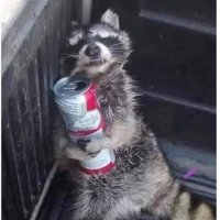 TrashPanda93(@smithjohn199933) 's Twitter Profileg