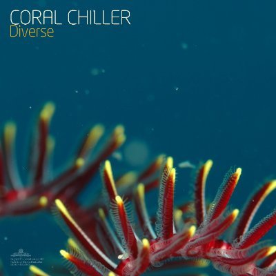 Ambient producer from Sweden
https://t.co/CvoM84Z2rL
https://t.co/p8nljsbx3G