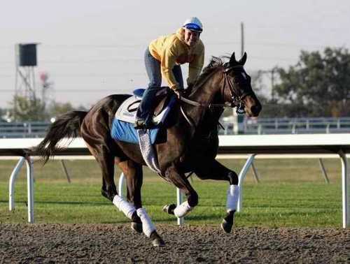 derbyjess's profile picture. Hollywood said, “Where'd who gooooooo?”