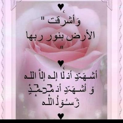 ربي انى لما انزلت إلى من خير فقير
لا تَقبِض رَوحِي، إلّا وأنا عَلَى حَالٍ تُحِبُّهُ يَا اللّه..