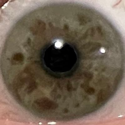 Laurie67863536's profile picture. I'm more than my roles; they are daughter of God, wife, mother, daughter, friend, "Mimi", RN - time rarely in that order!