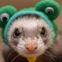 Gail Goss - @goss86 - Twitter