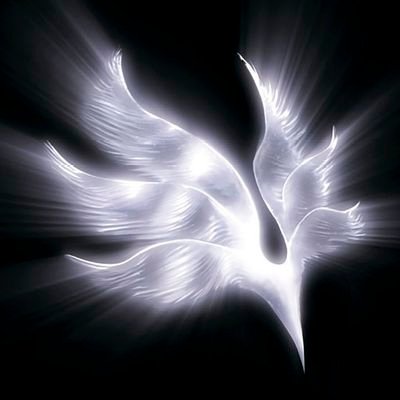 ZeQ_OUMI's profile picture. 膳所→京大建築5組🏘2回生

Mutius