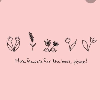 Merekomendasikan barang bagus, unik, aesthetic dengan harga murce