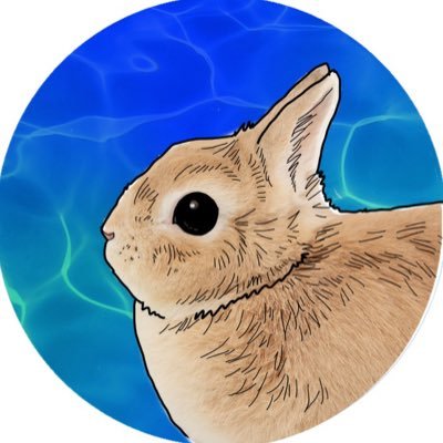裕うさぎ様 785【ウサギの生活向上委員会】うさぎ達の安全確保！ 足元の隙間
