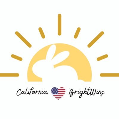 ————— a small project account —————#californiabrightwins supporting☀️@bbrightvc #bbrightvc & supporting 🐰@winmetawin #winmetawin