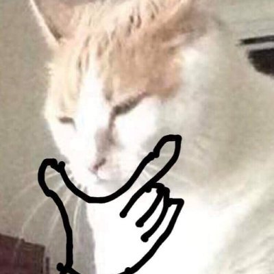 73wste's profile picture. 