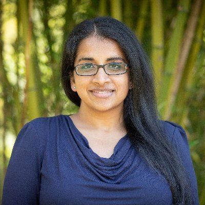 asst. prof. @VUAmsterdam, group leader at @mpi_polymer, physics+ chemistry+materials, spectroscopy, sustainable energy technologies. (she/her) views are my own.